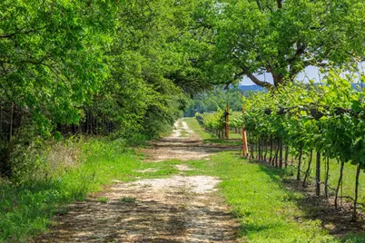 3750 Grapetown Rd, Fredericksburg, TX 78624 - Photo 10