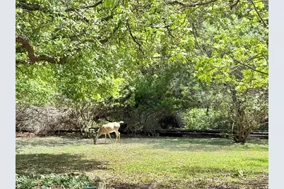 1310 N Warbler Dr., Kerrville, TX 78028 - Photo 20