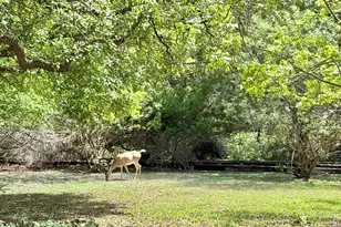 1310 N Warbler Dr, Kerrville, TX 78028 - Photo 20
