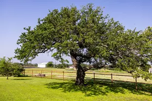2377 Aviation Loop, Fredericksburg, TX 78624 - Photo 34