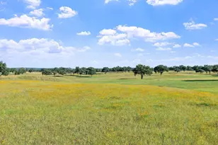 71 Granite Springs Dr, Fredericksburg, TX 79624 - Photo 56
