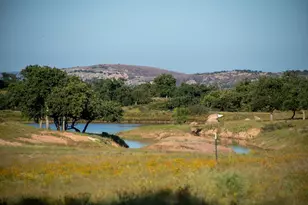 71 Granite Springs Dr, Fredericksburg, TX 79624 - Photo 4