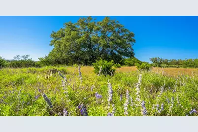 0 Fm 2093, Fredericksburg, TX 78624 - Photo 16