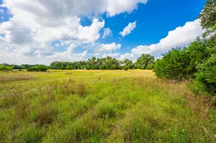 147 Gray Wolf, Blanco, TX 78606 - Photo 36
