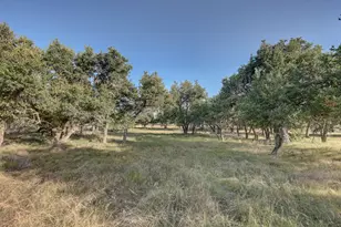 680 Windmill Ridge, Harper, TX 78631 - Photo 28