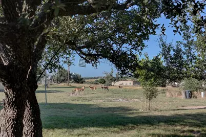 680 Windmill Ridge, Harper, TX 78631 - Photo 2