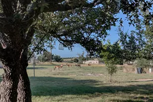 680 Windmill Ridge, Harper, TX 78631 - Photo 2