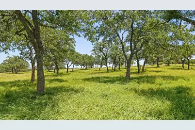 5059 Trainer Wuest Rd, Blanco, TX 78606 - Photo 42