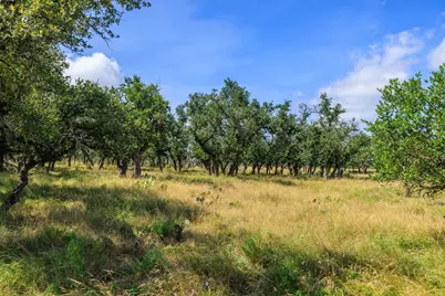 436 Stevens Ranch Rd, Harper, TX 78631 - Photo 8