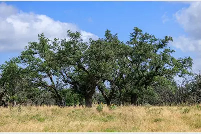 436 Stevens Ranch Rd, Harper, TX 78631 - Photo 16