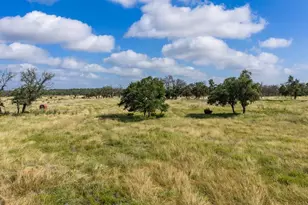 436 Stevens Ranch Rd, Harper, TX 78631 - Photo 1
