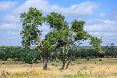 436 Stevens Ranch Rd, Harper, TX 78631 - Photo 20