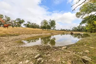 237 Twisted Timbers Rd, Fredericksburg, TX 78624 - Photo 86