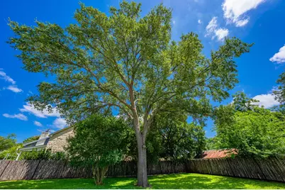 419 W San Antonio St, Fredericksburg, TX 78624 - Photo 36