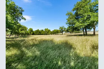 4369 Reeh Weinheimer Rd, Fredericksburg, TX 78624 - Photo 10