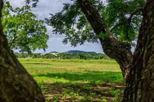 1670 Fm 2093, Fredericksburg, TX 78624 - Photo 56