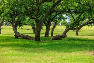 1670 Fm 2093, Fredericksburg, TX 78624 - Photo 58