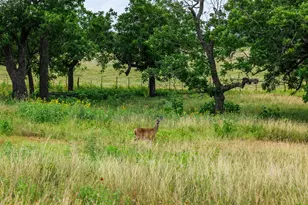 1670 Fm 2093, Fredericksburg, TX 78624 - Photo 36