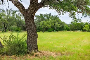 4995 Ranch Rd 648, Fredericksburg, TX 78624 - Photo 42
