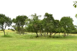 8400 Maner Rd, Harper, TX 78631 - Photo 34