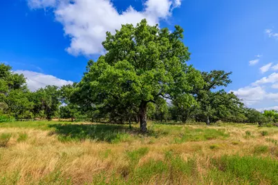 2662 Old Willow Rd, Fredericksburg, TX 78624 - Photo 34