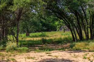 2662 Old Willow Rd, Fredericksburg, TX 78624 - Photo 10