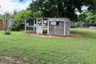 1132 Thiele Ln, Fredericksburg, TX 78624 - Photo 12