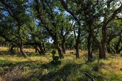 00 Ranch Rd 965, Fredericksburg, TX 78624 - Photo 8