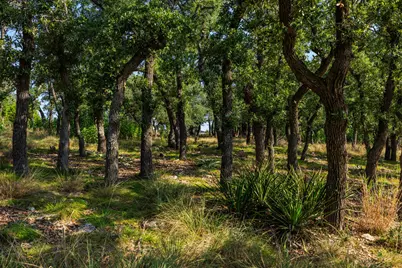 00 Ranch Rd 965, Fredericksburg, TX 78624 - Photo 22