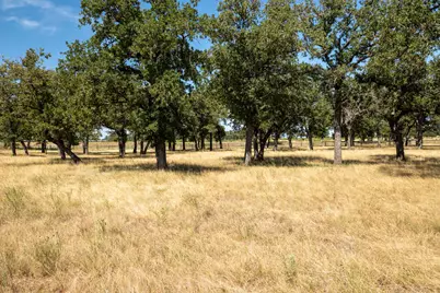 3600 E US Hwy 290, Fredericksburg, TX 78624 - Photo 12