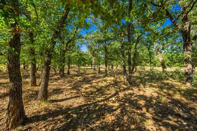 560 Mystic Oaks Trail, Fredericksburg, TX 78624 - Photo 8