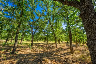 560 Mystic Oaks Trail, Fredericksburg, TX 78624 - Photo 4