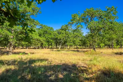 560 Mystic Oaks Trail, Fredericksburg, TX 78624 - Photo 6