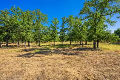 560 Mystic Oaks Trail, Fredericksburg, TX 78624 - Photo 1
