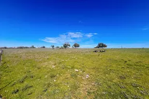 283 Cut-Off Rd, Fredericksburg, TX 78624 - Photo 1