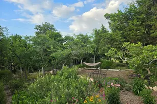 7991 Ranch Rd 965, Fredericksburg, TX 78624 - Photo 42