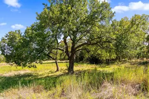 426 Preiss Ranch Rd, Blanco, TX 78606 - Photo 34