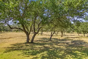 426 Preiss Ranch Rd, Blanco, TX 78606 - Photo 36