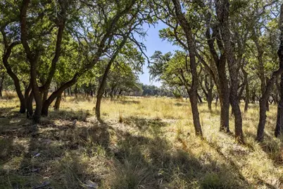 Lot 8 Legacy Oaks Dr, Harper, TX 78631 - Photo 2