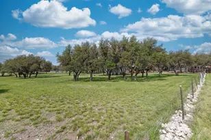 222 Spanish Oak Trail, Harper, TX 78631 - Photo 38