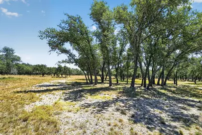 785 Legacy Oaks Dr, Harper, TX 78631 - Photo 58