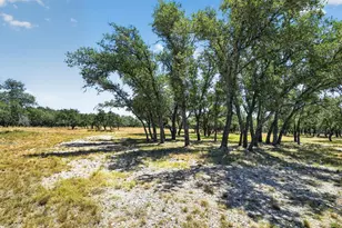 785 Legacy Oaks Dr, Harper, TX 78631 - Photo 58