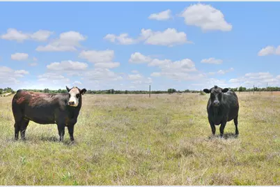 2544 -5 Reservation Rd, Harper, TX 78631 - Photo 4
