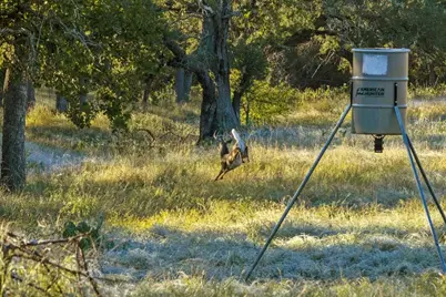 307 Gold-Schaefer Rd, Fredericksburg, TX 78624 - Photo 2