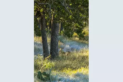 307 Gold-Schaefer Rd, Fredericksburg, TX 78624 - Photo 6