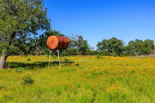 3610 Welgehausen Rd, Fredericksburg, TX 78624 - Photo 38