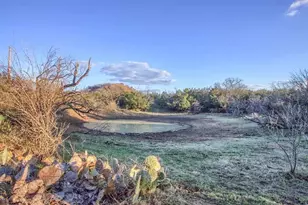 3610 Welgehausen Rd, Fredericksburg, TX 78624 - Photo 20