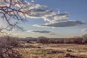 3610 Welgehausen Rd, Fredericksburg, TX 78624 - Photo 14