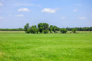 647 Eckert Rd, Fredericksburg, TX 78624 - Photo 26