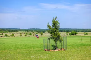 647 Eckert Rd, Fredericksburg, TX 78624 - Photo 32